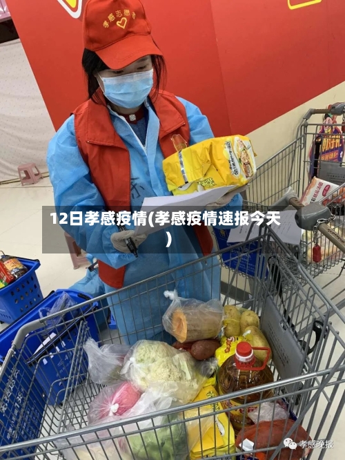 12日孝感疫情(孝感疫情速报今天)-第2张图片