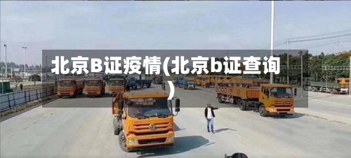 北京B证疫情(北京b证查询)