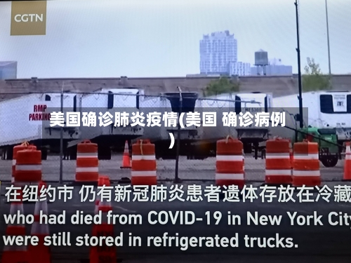 美国确诊肺炎疫情(美国 确诊病例)-第2张图片