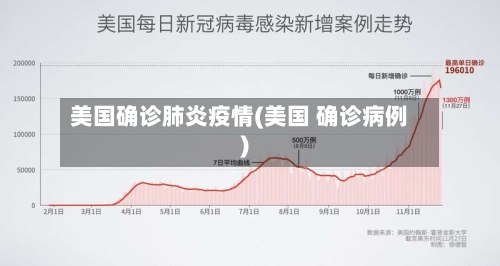美国确诊肺炎疫情(美国 确诊病例)-第3张图片