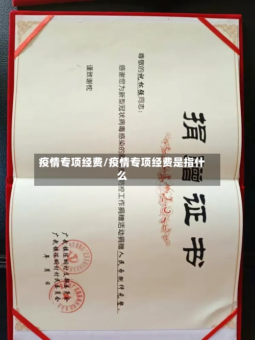 疫情专项经费/疫情专项经费是指什么-第2张图片