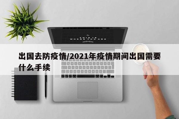出国去防疫情/2021年疫情期间出国需要什么手续