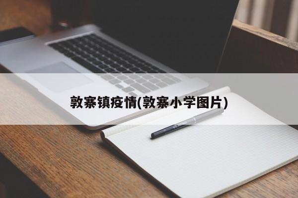敦寨镇疫情(敦寨小学图片)